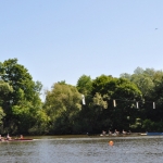 DSC_0054.jpg